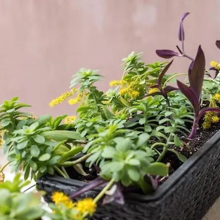 Brand New 1br Near Central Station, Old Town, Beach - 3 Minute Walking Appartamento *